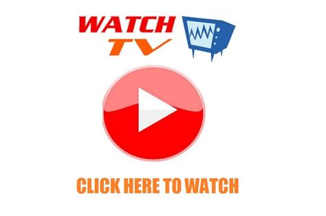 watch tv 247 online free